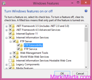 Figure 2. Add FTP Extension for IIS