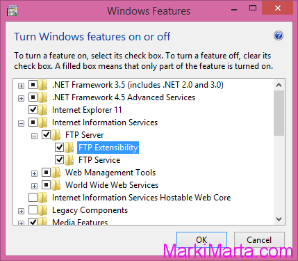Figure 2. Add FTP Extension for IIS