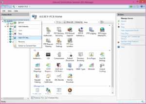 Figure 5. IIS window