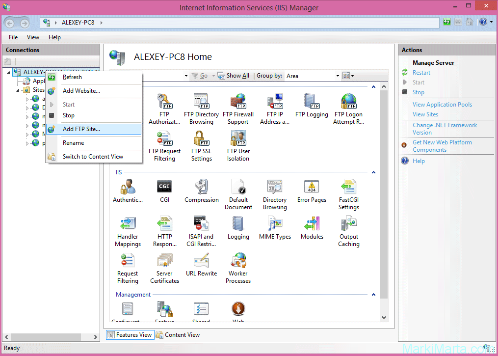 Figure 5. IIS window