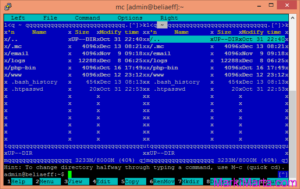 Midnight Commander with unreadable characters