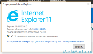 Рис.2. Версия Internet Explorer
