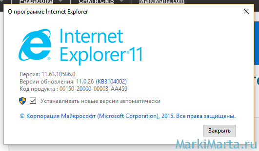 Рис.2. Версия Internet Explorer