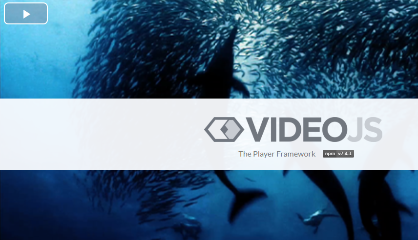 VideoJS