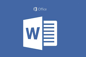 Microsoft Word